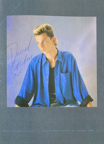 Dave gahan von depeche mode - von,