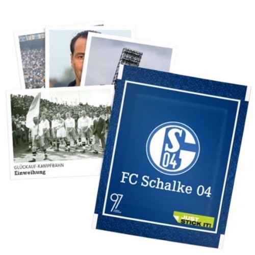 Panini schalke 20 - panini,