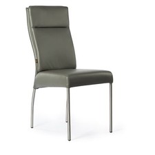 Lederstuhl Gatto Echt