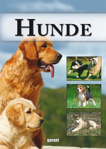 Ratgeber hunde - ratgeber,