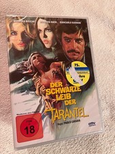 Der schwarze Leib der Tarantel