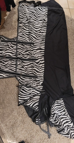 Zebra fliegendecke mit - zebra,