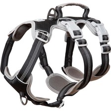 Hundegeschirr Ausbruchsicher