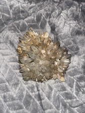 Quarzstufe mit Pyrit – Baia