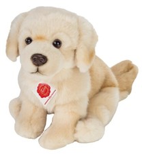 Golden Retriever Von Teddy