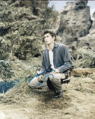 Michael landon original - michael,