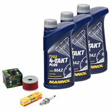 Inspektionspaket Öl 3L für