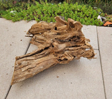 Mangroven Wurzel M 29x15x26cm