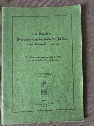 Der hautfarn - hautfarn, in