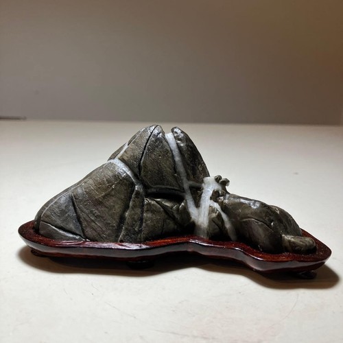 Suiseki bonsai stein - bonsai,