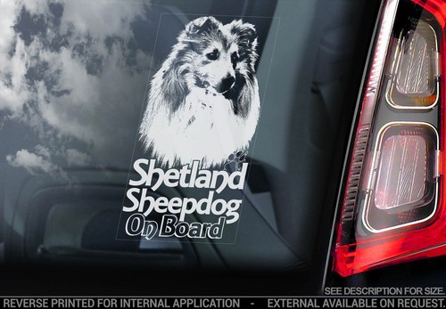 Shetland sheepdog auto - shetland,