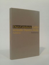 Galilei vermißt Dantes Hölle