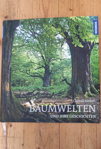 Baumwelten und ihre - , geschichte