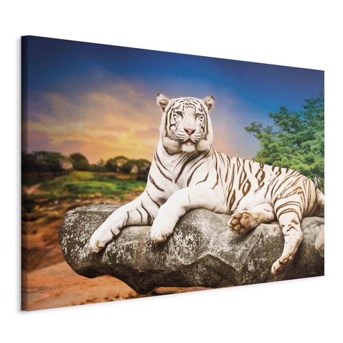 Tiger wildtiere natur baum - tiger,