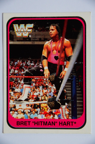 Bret hart wwf merlin 1991 - bret,