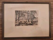 Alte Grafik - Karl Albrecht Buschbaum (1885 - 1955) - Schafe