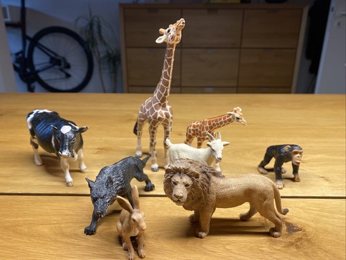 Konvolut schleichtiere löwe - konvolut,