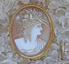 Ansteck Nadel Brosche Muschel