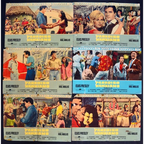 Fotobuste paradiso hawaiano - fotobuste,