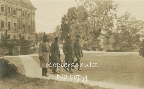 Pless wilhelm karl i - pless,