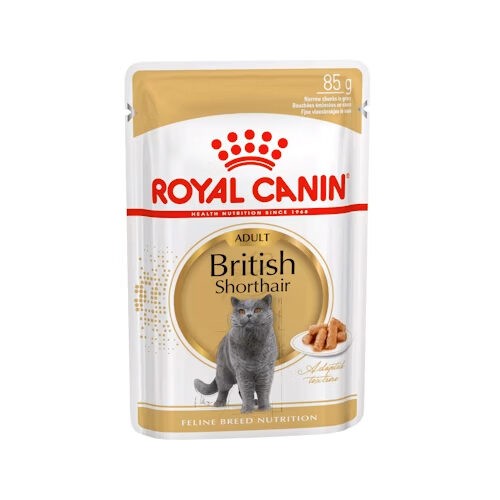 Royal canin britisch kurzhaar - royal, britisch-kurzhaar