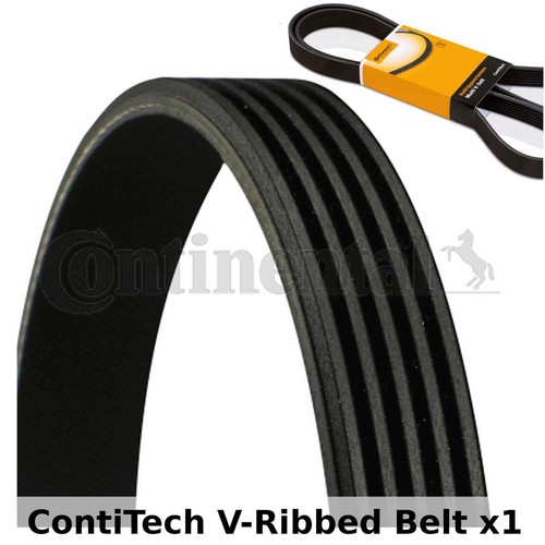Contitech keilrippenriemen - contitech,