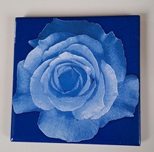 Design House Fliese blaue Rose