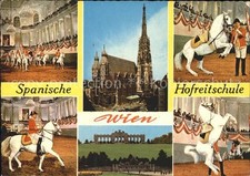 Reitsport Pferdesport