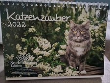 Katzenzauber DIN A5 Tischkalender für 2022!  Katzen und Katzenbabys ?