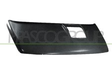 Motorhaube für Iveco -