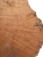 1x Madrona Wurzelholz