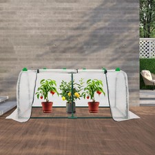 Kleines Gew?chshaus f��r