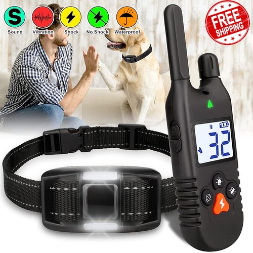 1000m automatisches hunde - 1000m,
