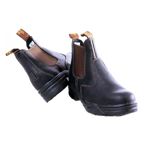 Mountain horse protective - horse,