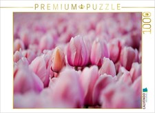 CALVENDO Puzzle Rosa Tulpen in