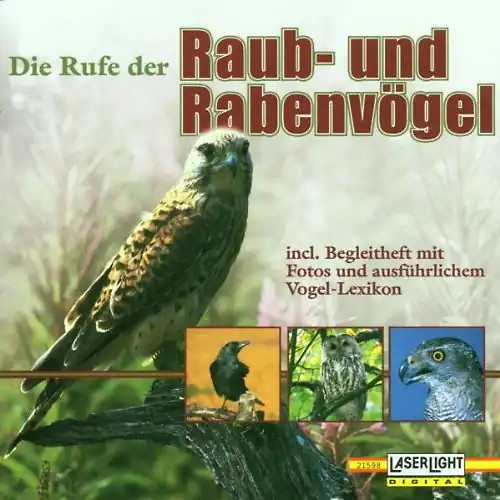 Natur vogelstimmen raub und - natur,