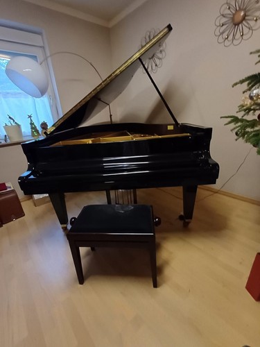 Schimmel flügel 174cm schwarz - schimmel,