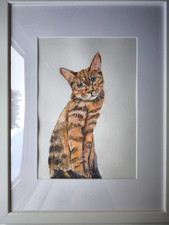 Aquarell und Pastell Stifte. Ein roter Kater. Tiere. Ca 22x27 cm