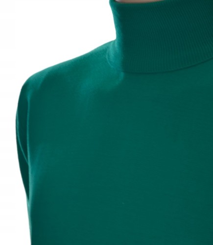 Rollkragenpullover herren - rollkragenpullover,