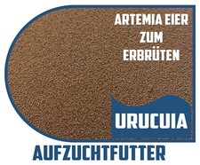Artemia Eier 25-425g Schlupfrate 90% Lebendfutter Aufzuchtfutter zum Erbrüten