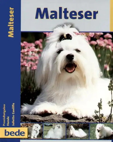 Praxisratgeber malteser - praxisratgeber,