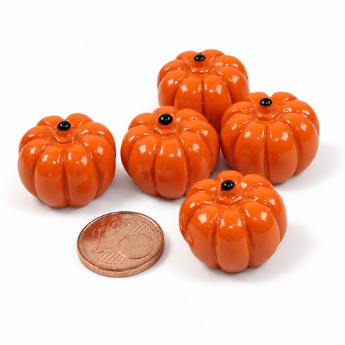Miniatur kürbis gemüse - miniatur,