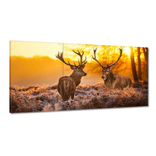 Leinwand Bild Wandbild Canvas