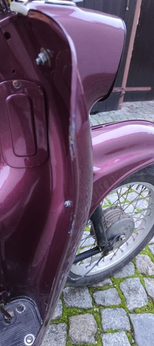 Schwalbe mit papieren - schwalbe,