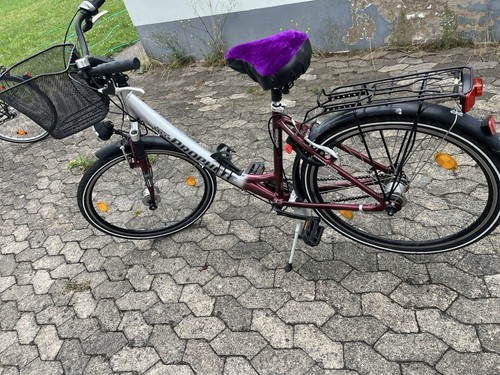 Prophete citybike zoll 7 - citybike, 26