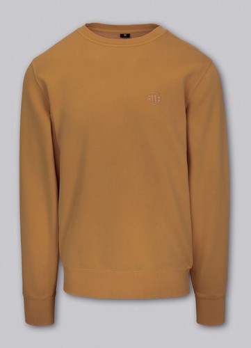 Pit bull sweatshirt mit - pit,