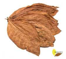 Tabakblätter Burley 500