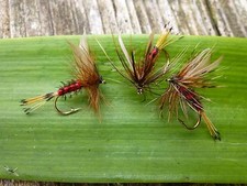 4 St. HARDY`S FAVOURITE