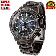 Citizen Promaster Sky