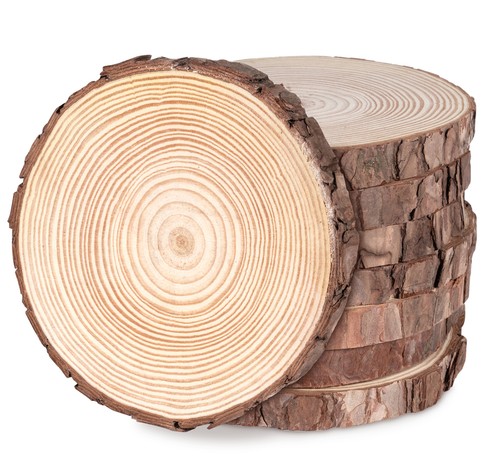 Holzscheiben 17cm ohne - ohne, loch